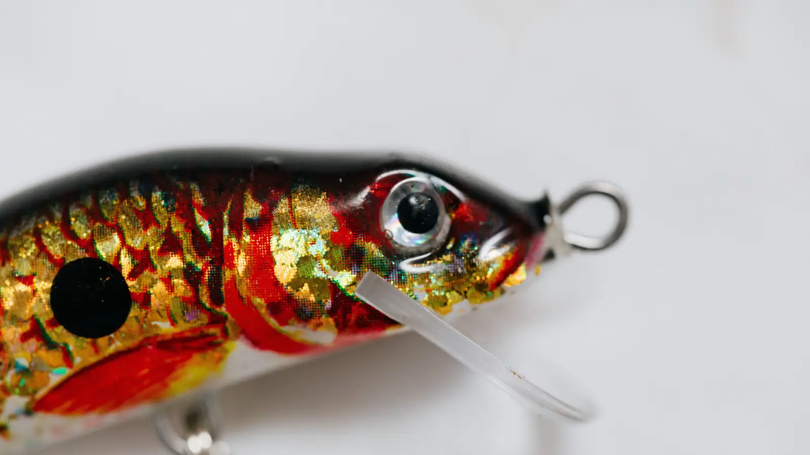 A Bad Knot Slowly Kills Lure Action—Fix It Now
