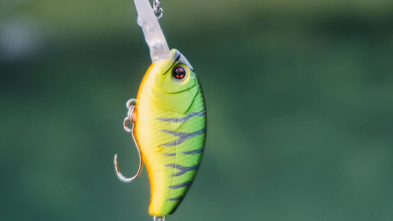 Bass Lure Color Matters Way Less Than This One Factor