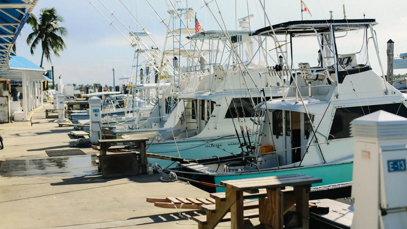 The Boat Fishing System That Charter Captains Use to Find and Catch Fish