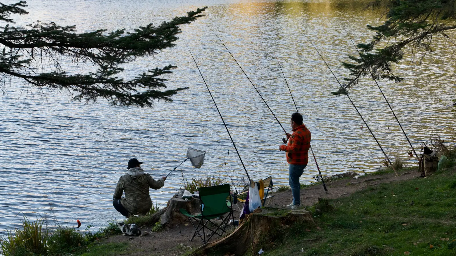 Catch More from Shore: A Beginner's Guide to Bank Fishing