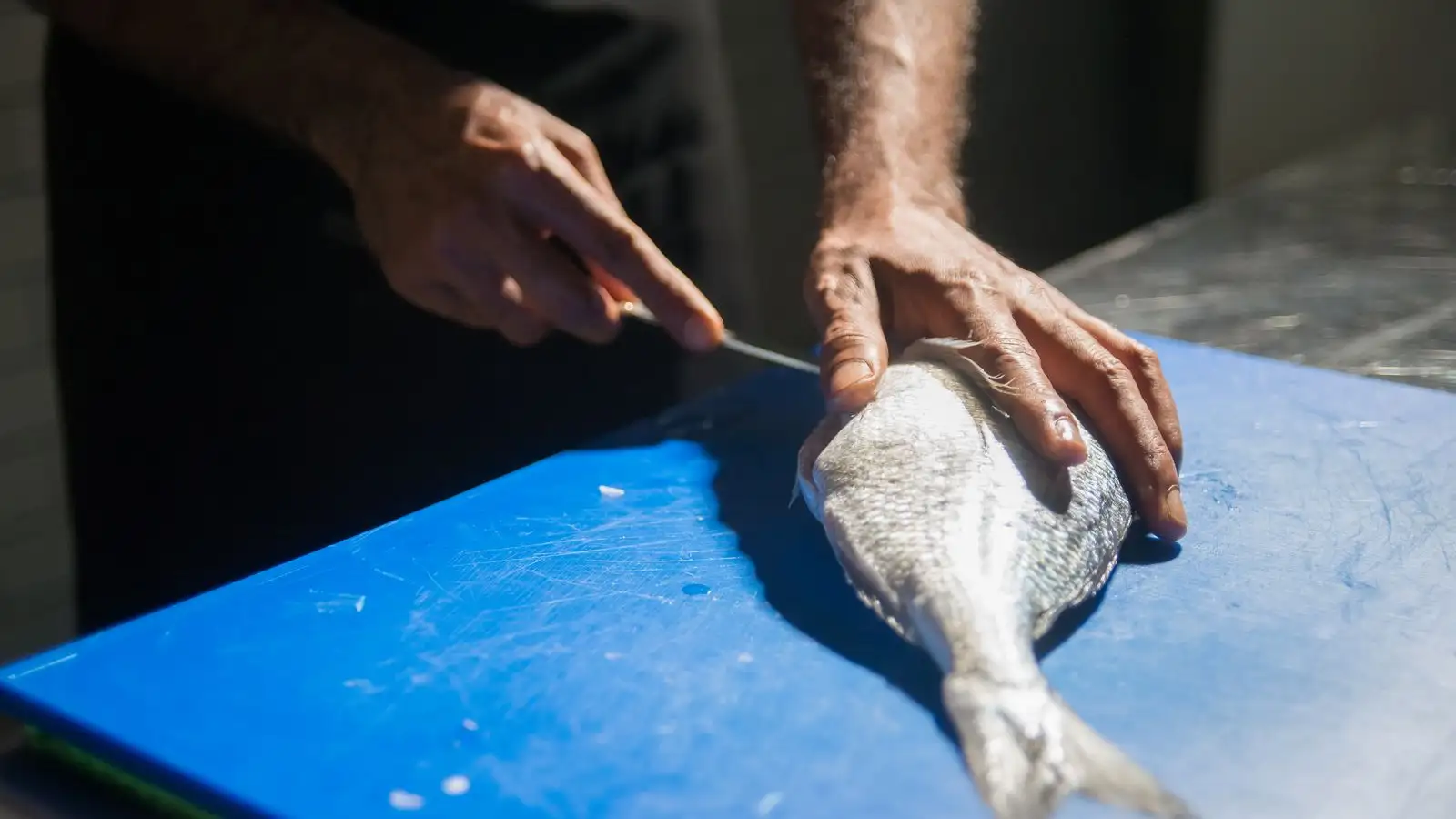 Get Clean Fillets and Remove Pin Bones from Any Fish