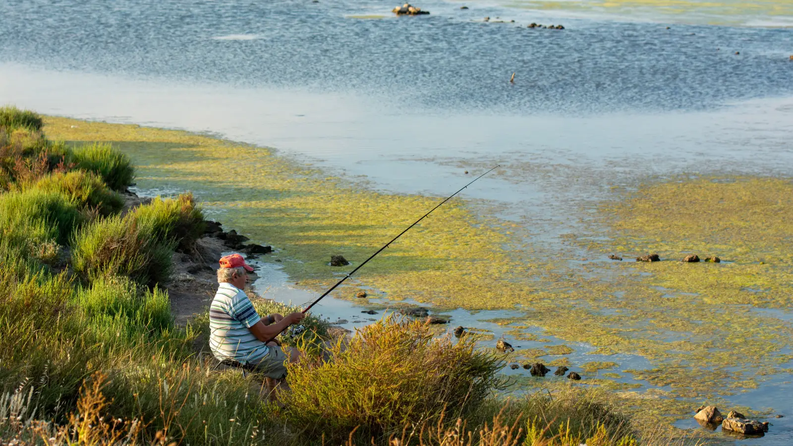 Finding Fishable Water: How Bank Anglers Read Shore Structure
