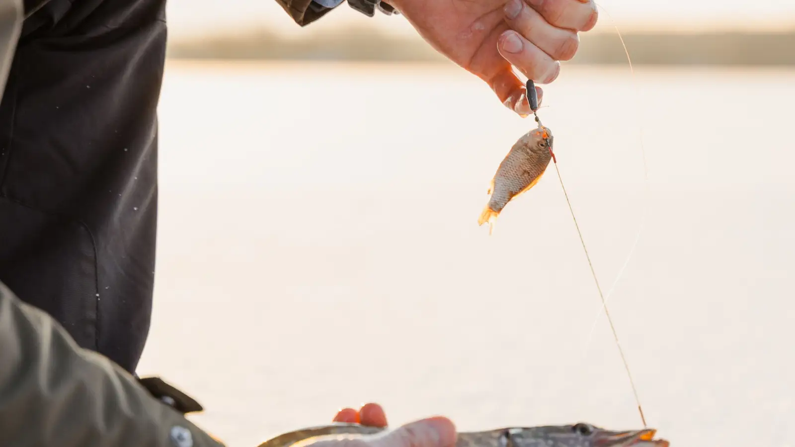 The 5-Minute Pre-Fishing Routine That Eliminates Line Memory