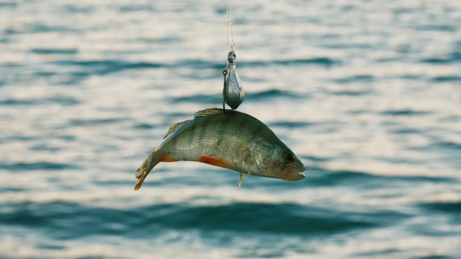 5 Rigging Mistakes That Are Costing You Fish Every Trip