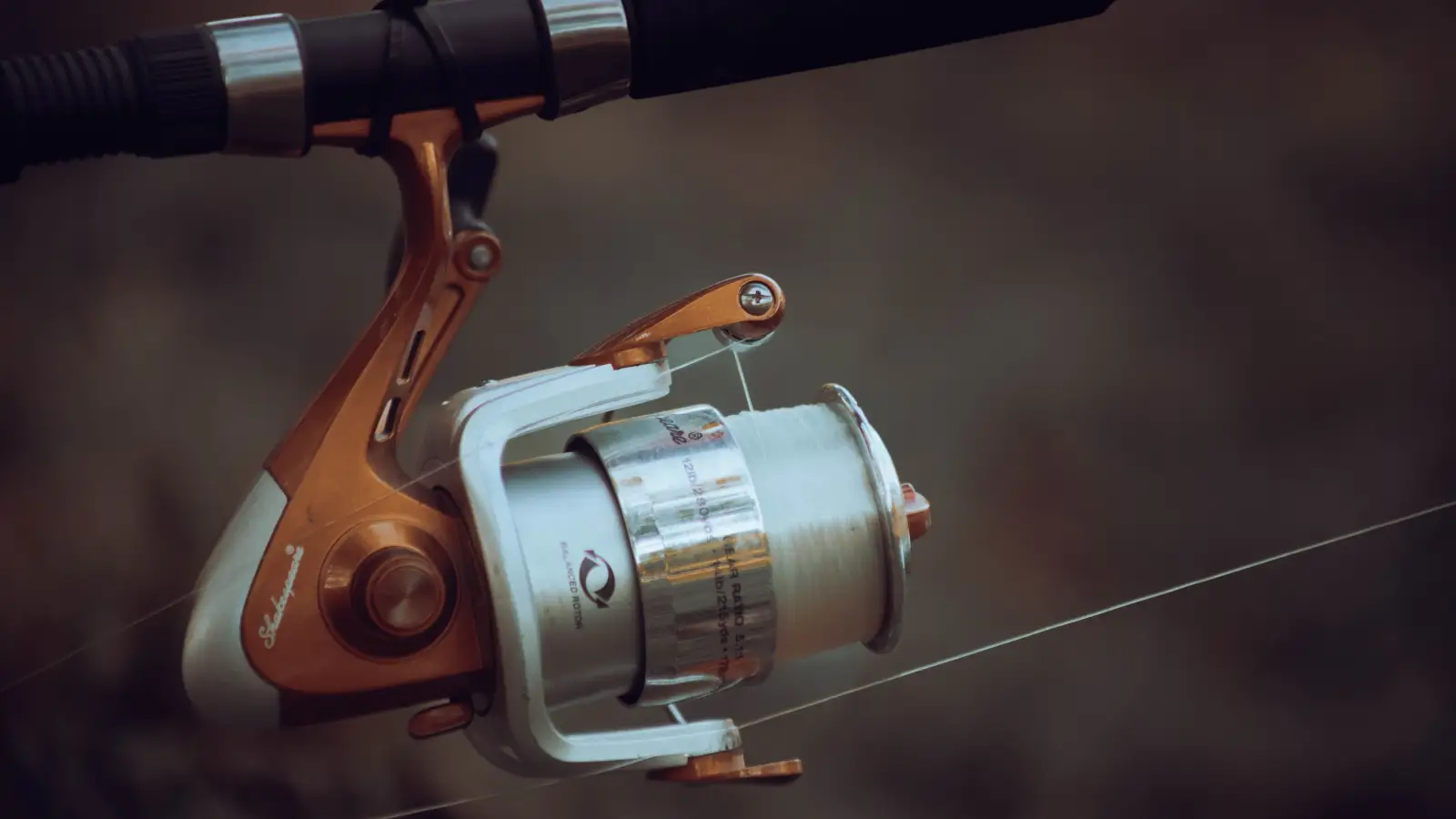 How a Reel Technician Cleans a Baitcaster (vs. Spinning)