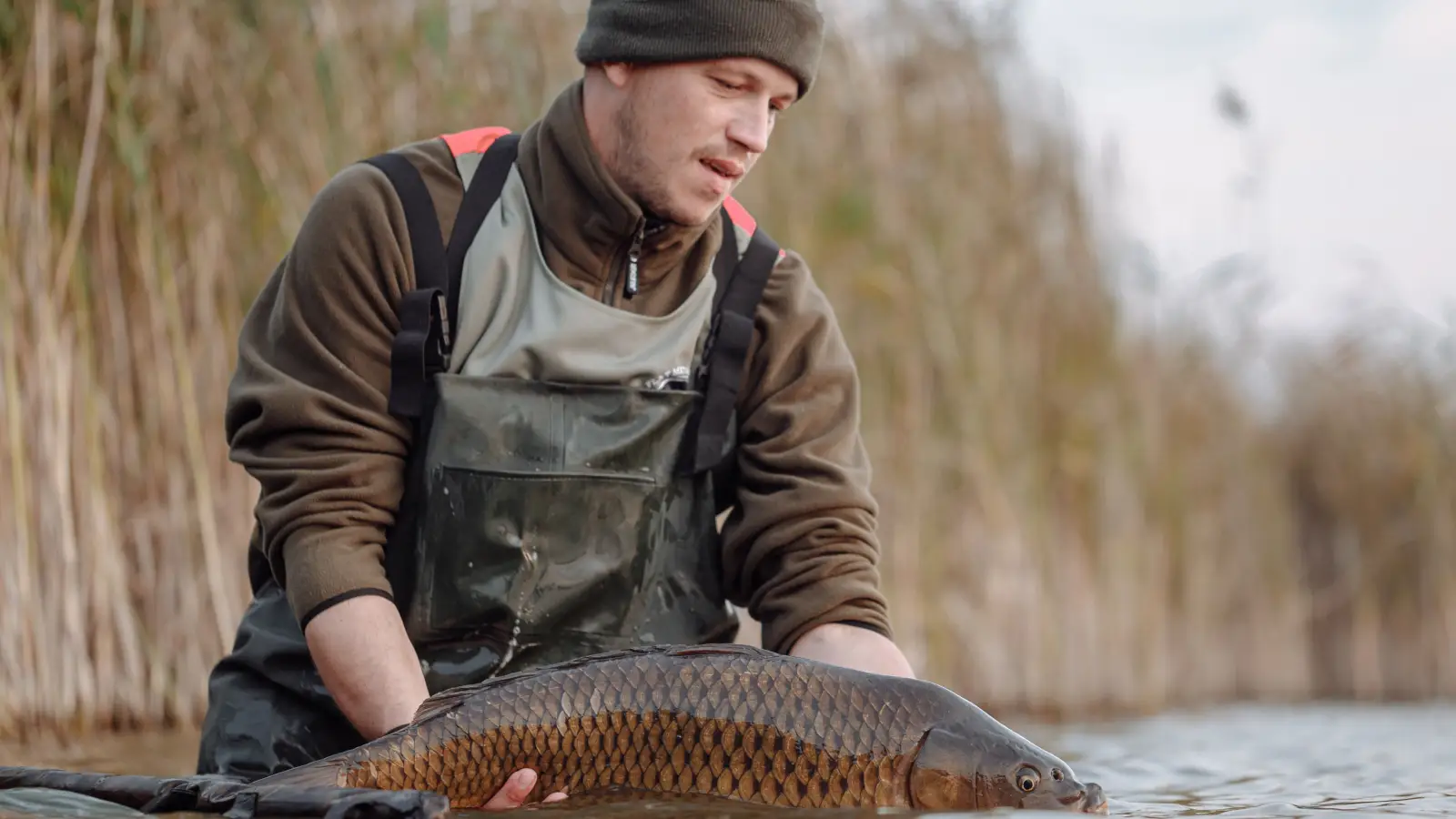 Ignoring This Map Structure Clue Costs You Fish