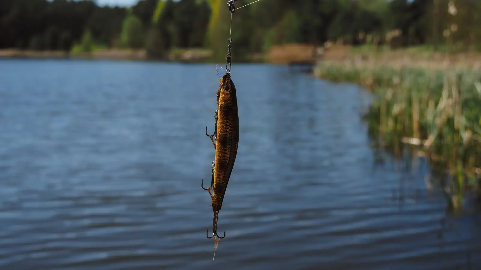 Land More Treble Hook Fish with Moderate Action