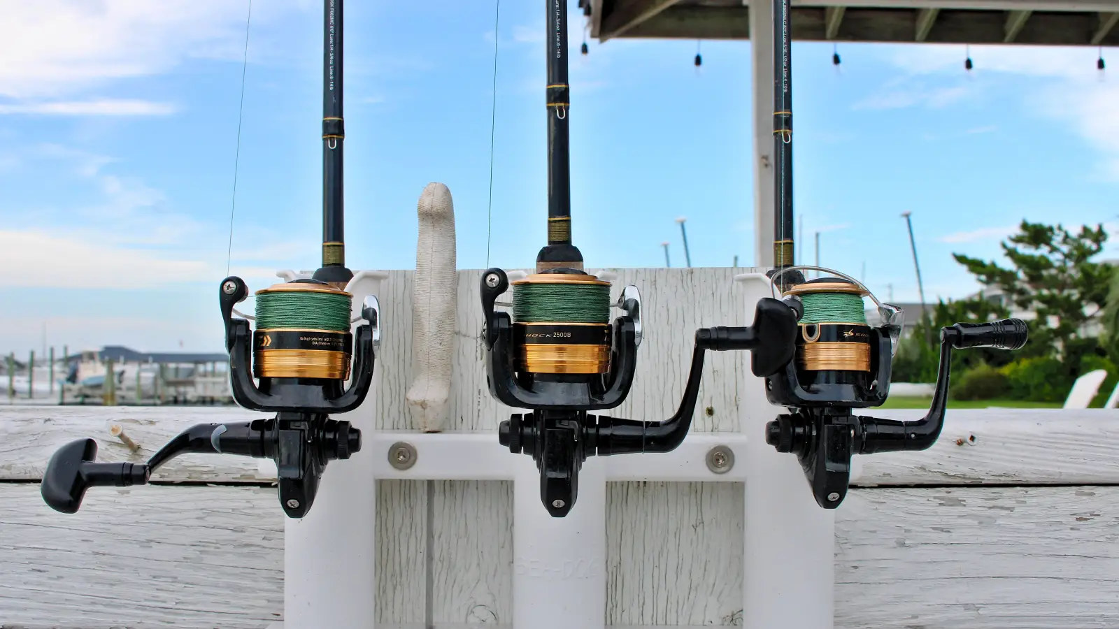 Master a Spinning Reel in One Afternoon: A Beginner’s Guide