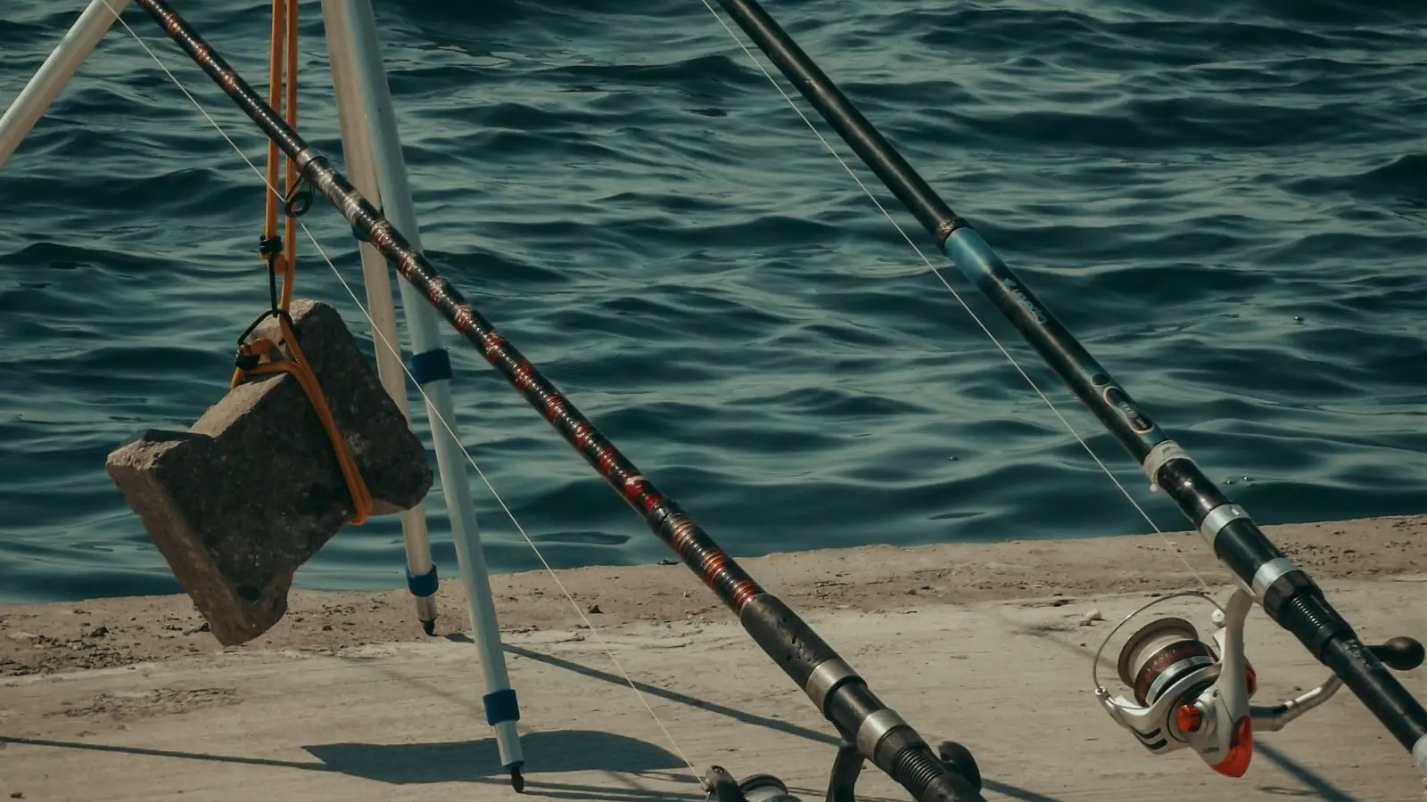 Pier Fishing: Gear and Rigs That Veteran Anglers Swear By