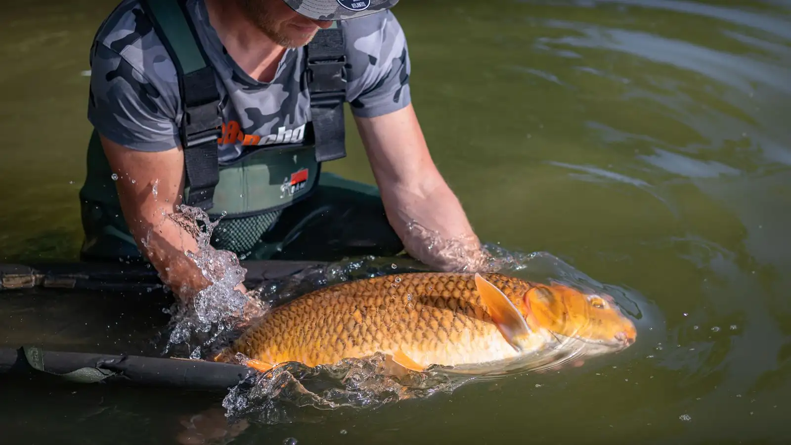 Your Released Fish Rolled Over, and It Can Still Recover