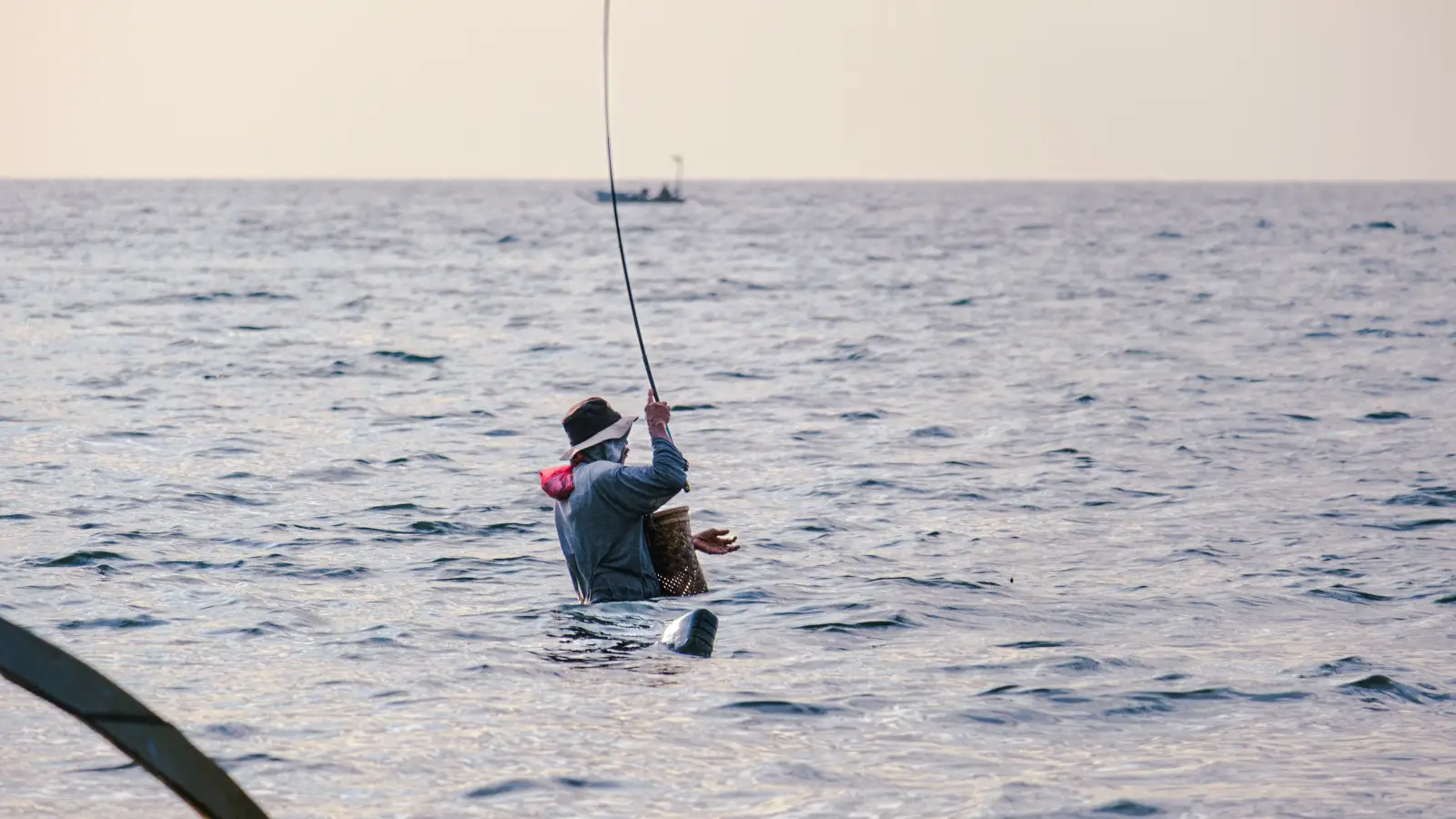Saltwater Species ID: The One Trait Most Anglers Miss