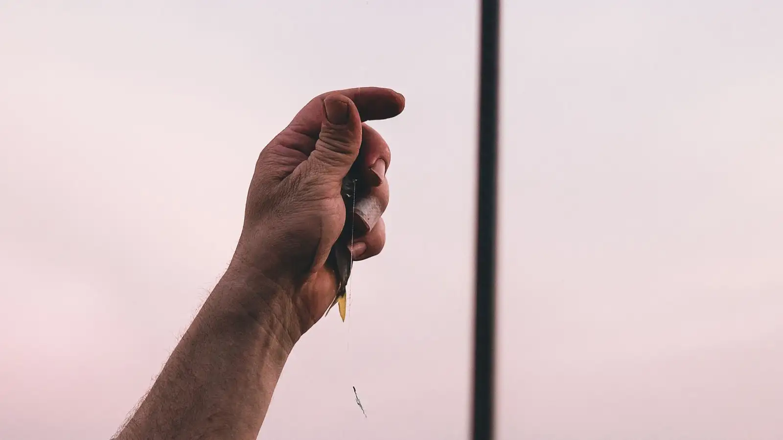 Can You Save a Coiled Line, or Is It Time to Strip It Off?