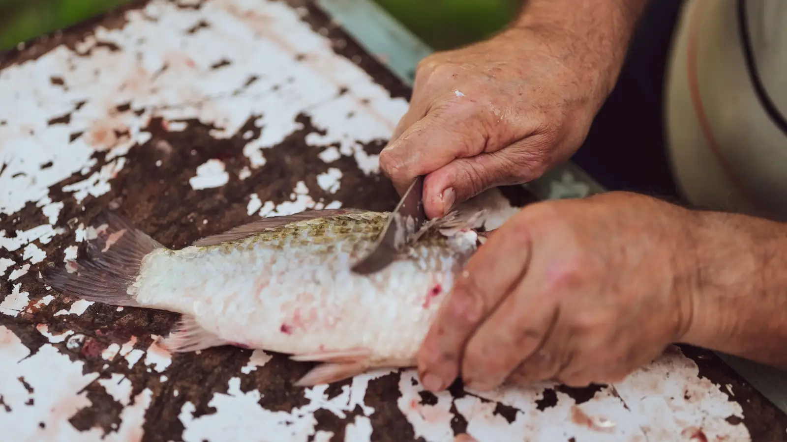 Stop Ruining Crispy Skin: The Mistake Most Cooks Make