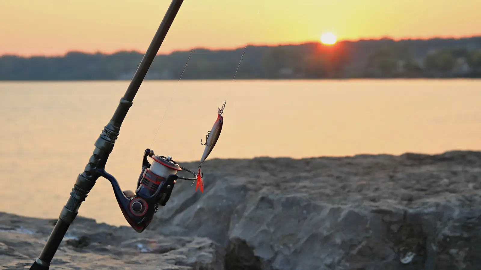 What Guides Teach First: Walking vs Popping Topwater Lures