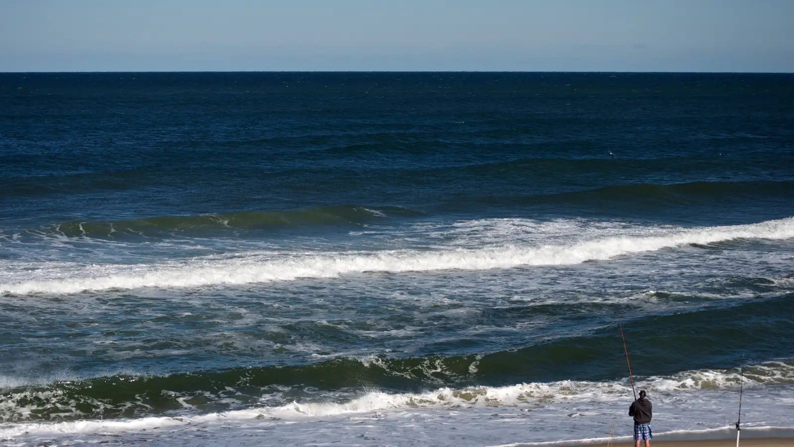 What Surf Waves Reveal About Where Fish Are Hiding