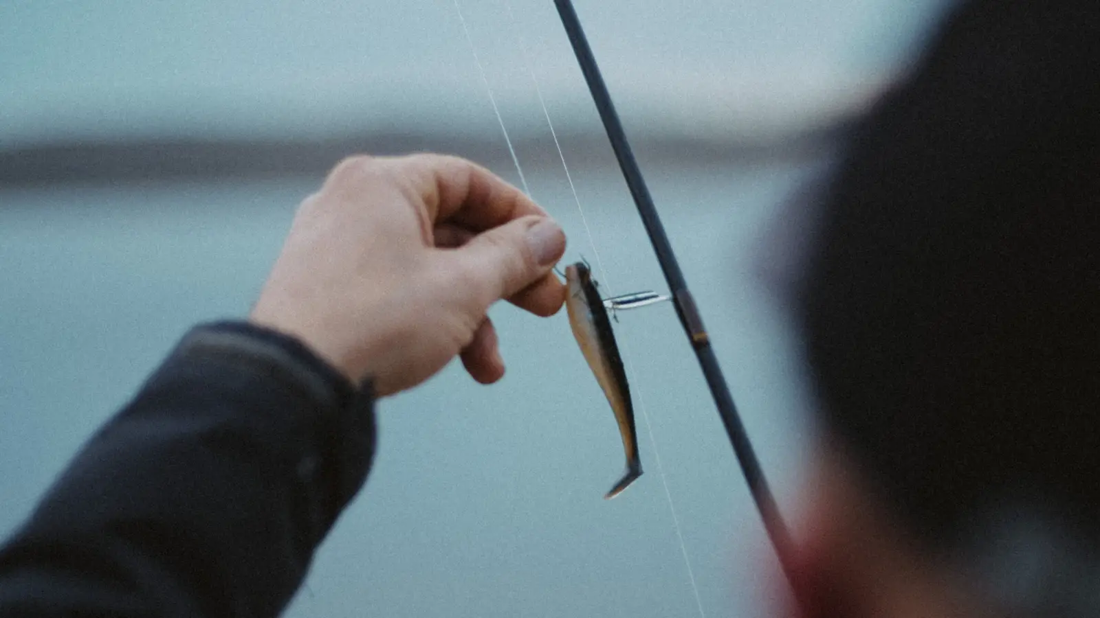 Why 80% of Anglers Start with Bait (and When They Switch)