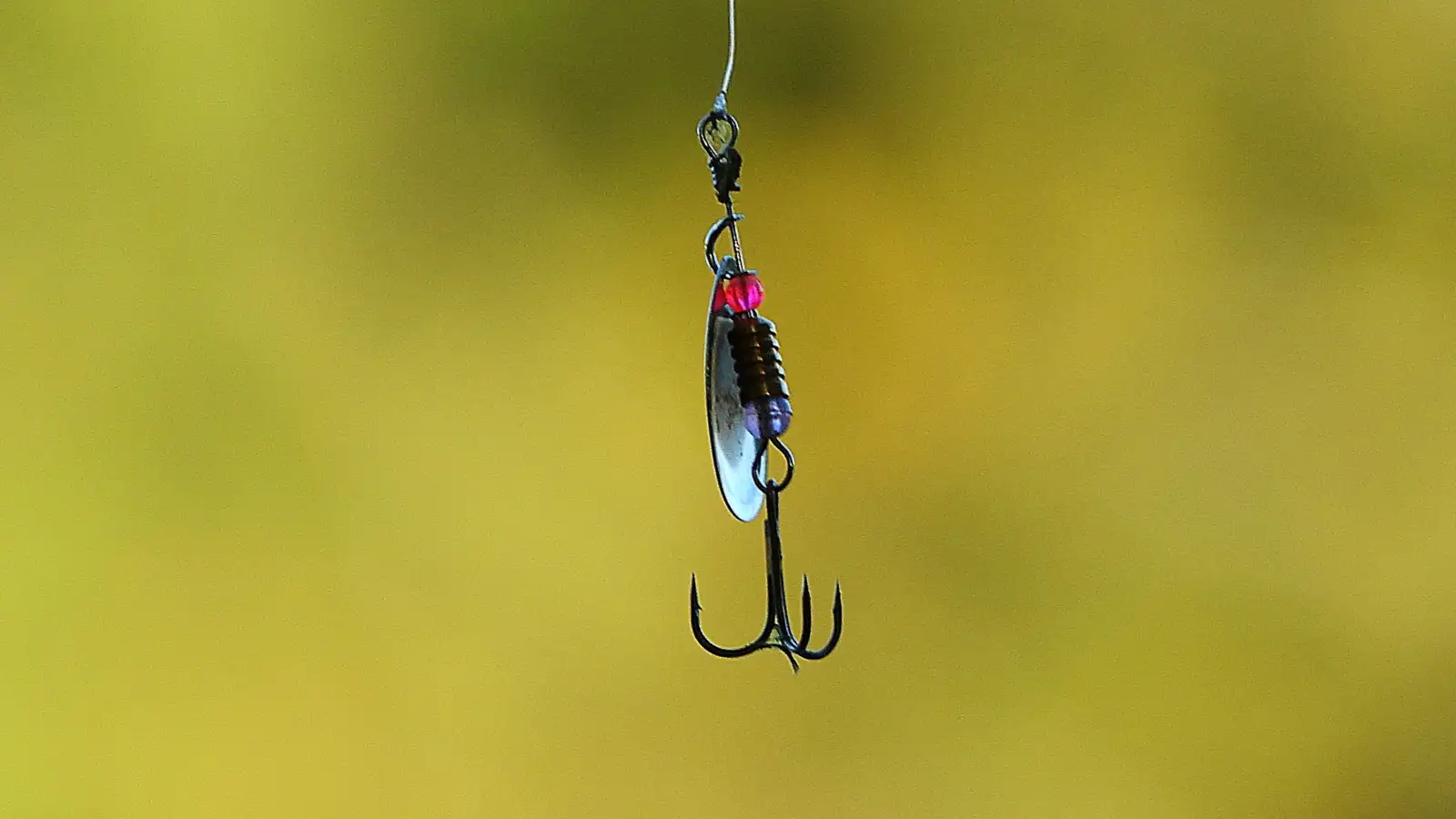 Why Some Waters Require Barbless Hooks and Others Don't