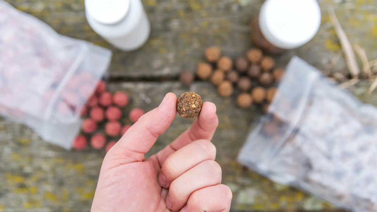 Why Your Bait Isn't Fooling Any Fish (and How to Fix It)
