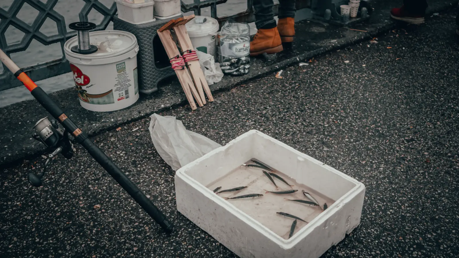 Your Fish Spoils in 2 Hours Without This Storage Trick