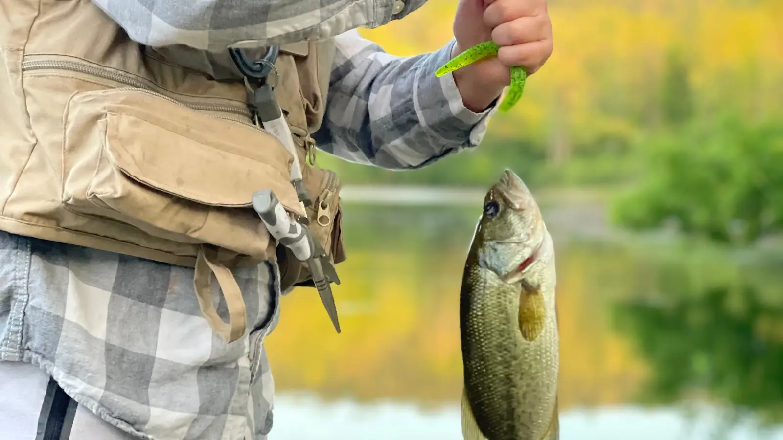 Your Texas Rig Is Probably Costing You Bass—Here's Why